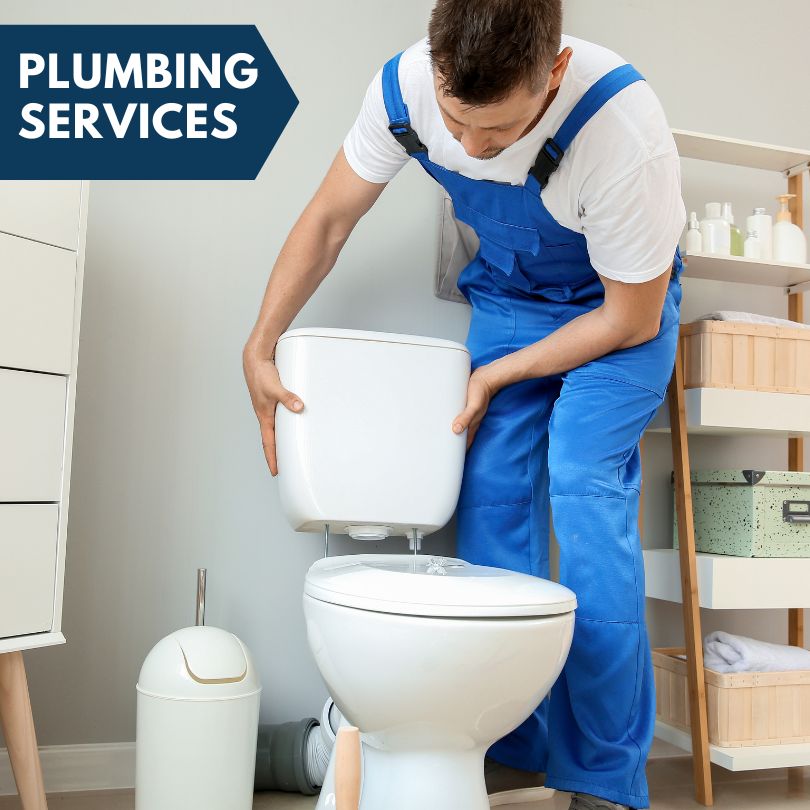 Plumbing Company in Samaria, MI
